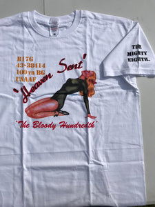 Heaven Sent Short Sleeve Nose Art T-Shirt 'The Bloody Hundredth'